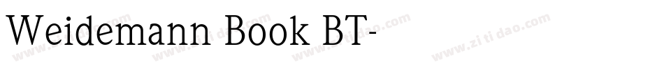 Weidemann Book BT字体转换
